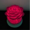 Illuminated Rose