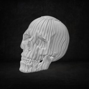 3D Knitted Skull